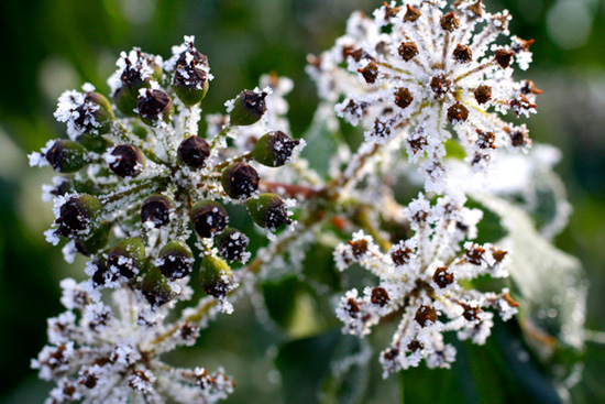 Inverno, il regno dell’acqua